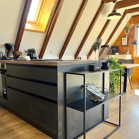 度假居 2 Im Haus Mit Sauna & Bergblick, 2 Kuechen, 2 Baeder 希格斯多夫